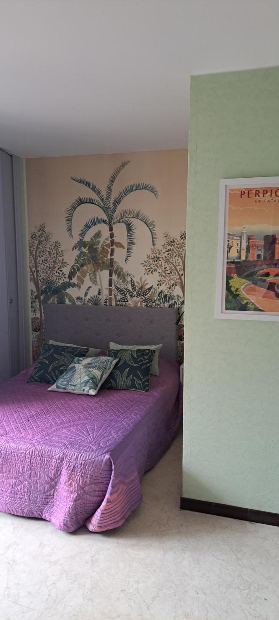 Studio Phannie Renove 50M Cures Amélie-les-Bains-Palalda المظهر الخارجي الصورة