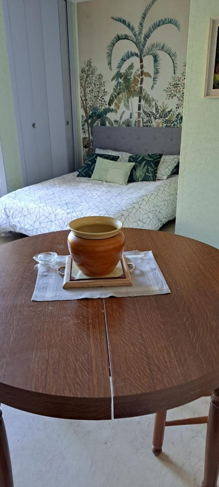 Studio Phannie Renove 50M Cures Amélie-les-Bains-Palalda المظهر الخارجي الصورة
