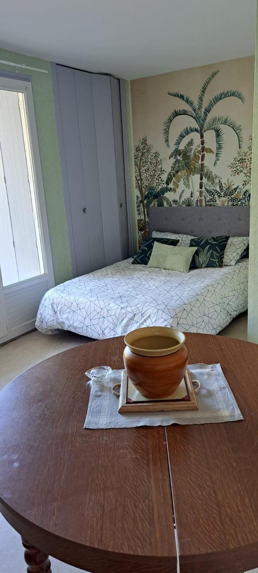 Studio Phannie Renove 50M Cures Amélie-les-Bains-Palalda المظهر الخارجي الصورة