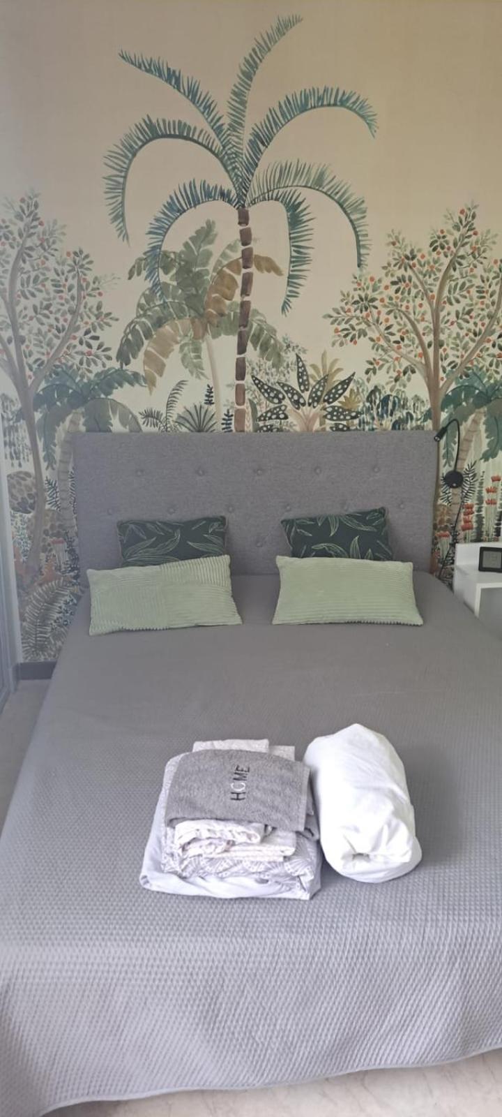 Studio Phannie Renove 50M Cures Amélie-les-Bains-Palalda المظهر الخارجي الصورة