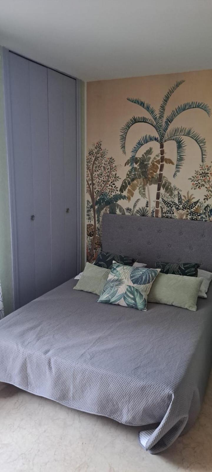 Studio Phannie Renove 50M Cures Amélie-les-Bains-Palalda المظهر الخارجي الصورة